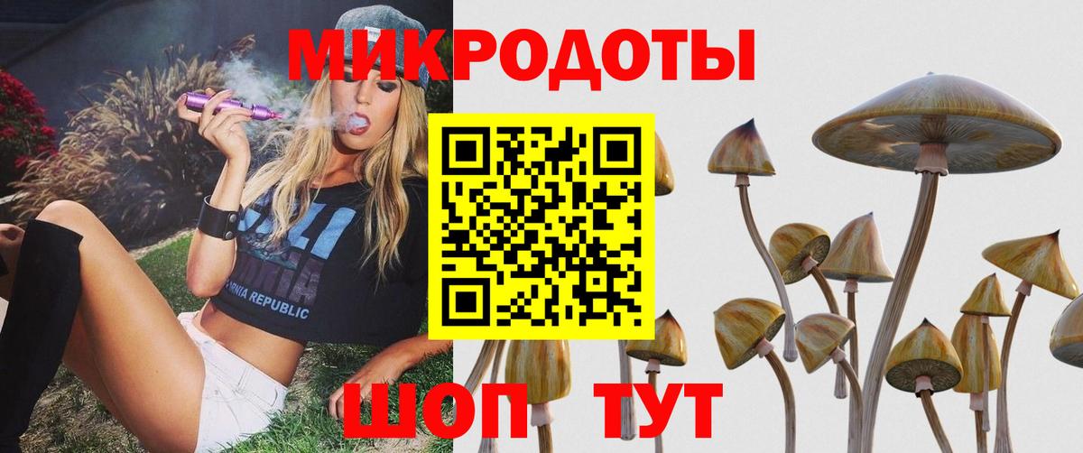 Галлюциногенные грибы Psilocybine cubensis  Псилоцибиновые грибы Cubensis  Вход с VPN  Щёлково 