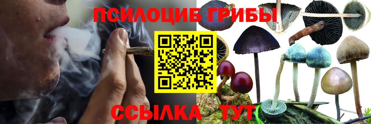 Галлюциногенные грибы GOLDEN TEACHER Щёлково